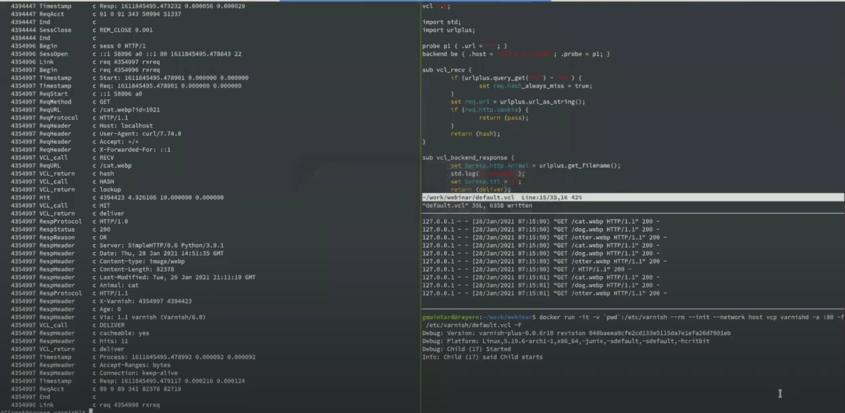 Understanding Varnish logging and log management